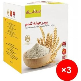 پک 3 عددی کمک به حضم در سیستم گوارش با پودر جوانه گندم