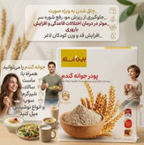 پک دوتایی پودر جوانه گندم وین استار اورجینال