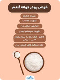 پک دوتایی پودر جوانه گندم وین استار اورجینال